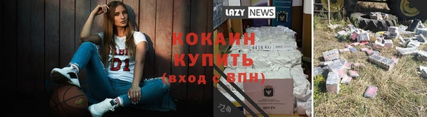 гашик Аркадак