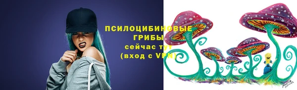 гашик Аркадак