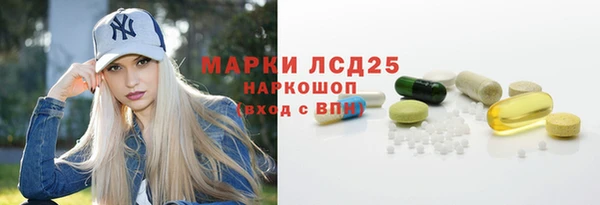 гашик Аркадак